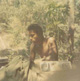 J J sm.jpg (4871 bytes)