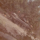 Sheridan sm.jpg (4068 bytes)