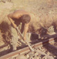 WALKER sm.jpg (5442 bytes)