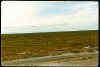 console450_Slide34.JPG (162685 bytes)